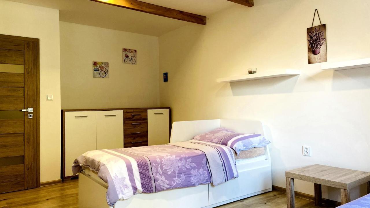 Apartmány u Bohumila Rybna nad Zdobnici Esterno foto