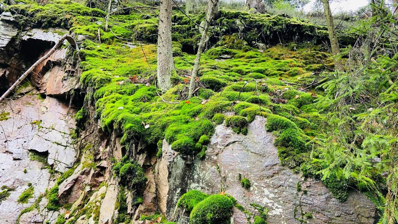 Apartmány u Bohumila Rybna nad Zdobnici Esterno foto