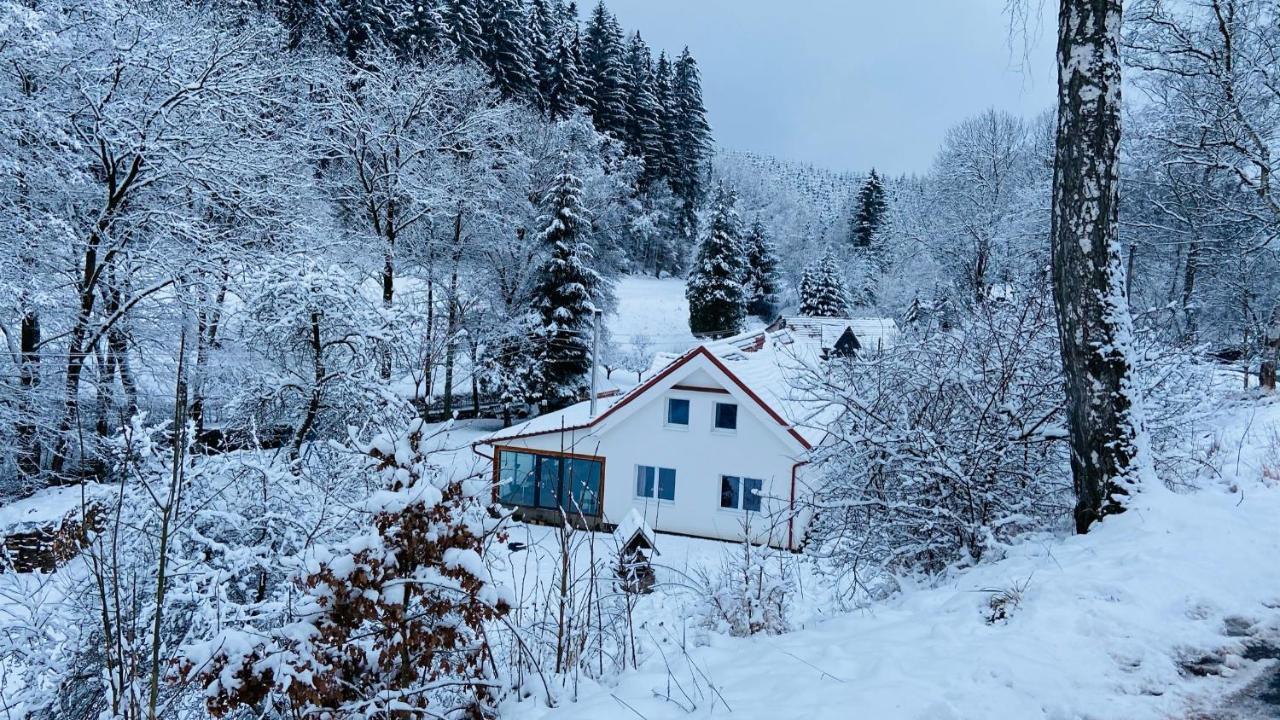 Apartmány u Bohumila Rybna nad Zdobnici Esterno foto