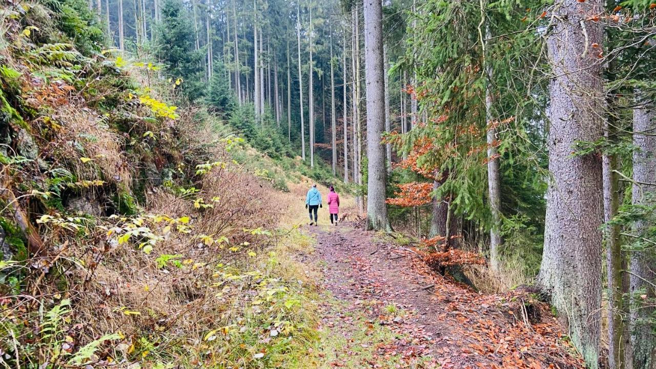 Apartmány u Bohumila Rybna nad Zdobnici Esterno foto